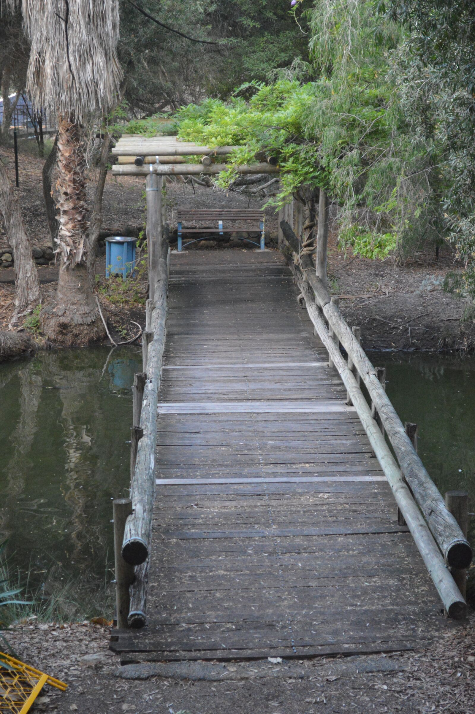 Nikon D3200 sample photo. Foot bridge, isolation, nature photography