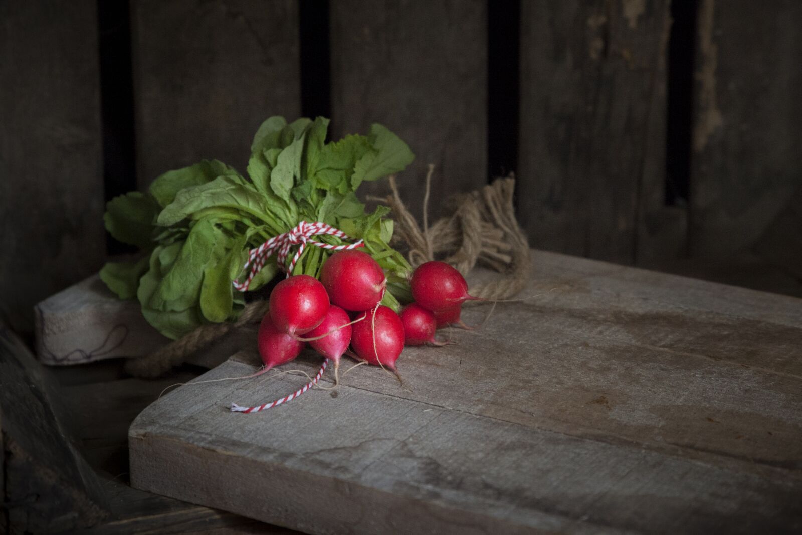 Canon EOS 5D Mark II sample photo. Summer, radishes, red photography