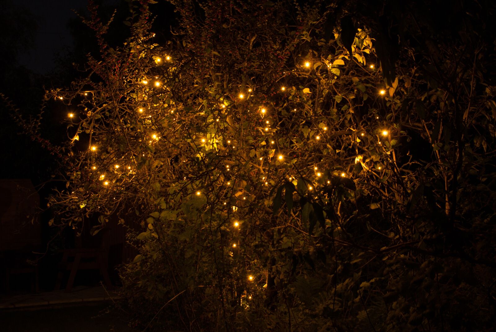 Sony Alpha DSLR-A300 + Sony DT 18-70mm F3.5-5.6 sample photo. Diwali, lights, winter photography