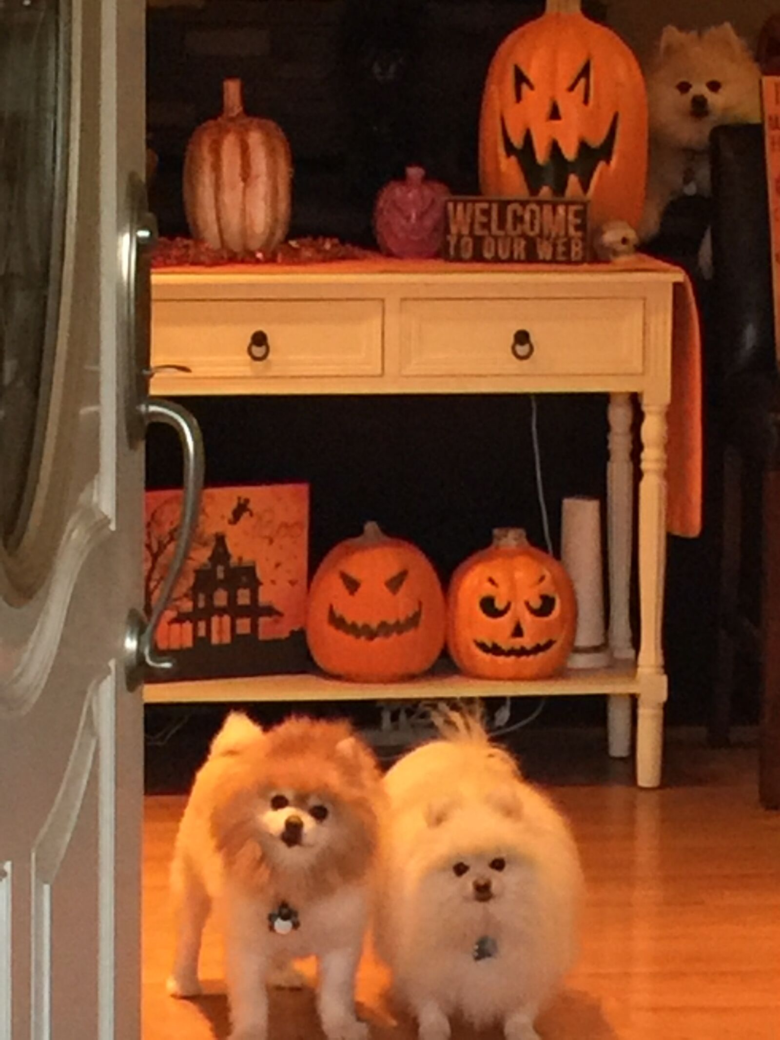 Apple iPhone 6 Plus sample photo. Halloween, puppies, cutetags separated photography