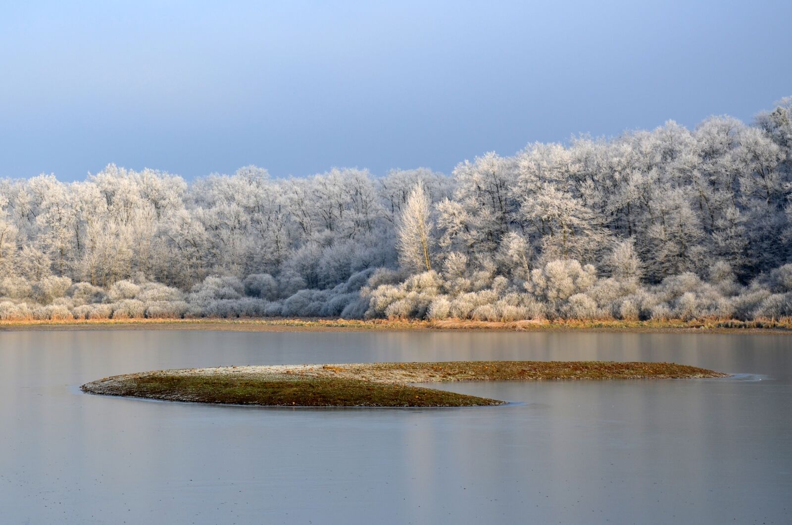 Nikon D5100 sample photo. Frost, pond, winter photography