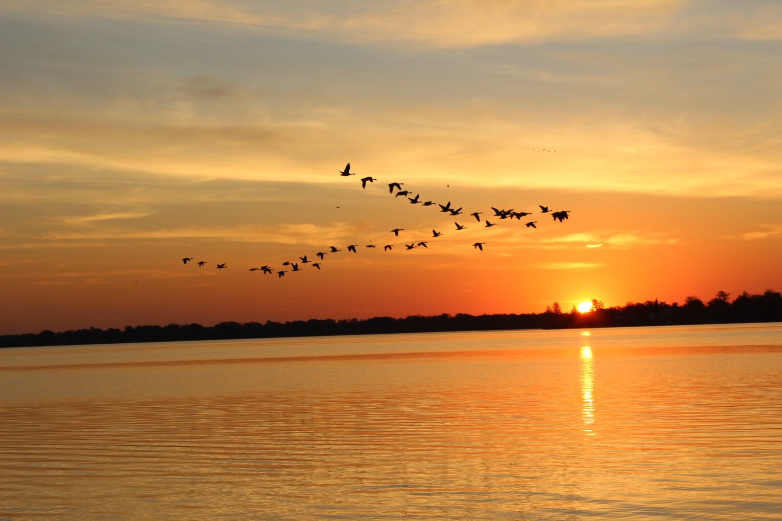 Canon EOS 600D (Rebel EOS T3i / EOS Kiss X5) sample photo. Sunset, dawn, water photography
