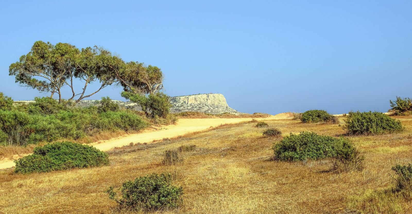 Nikon D3300 sample photo. Landscape, tree, dirt road photography