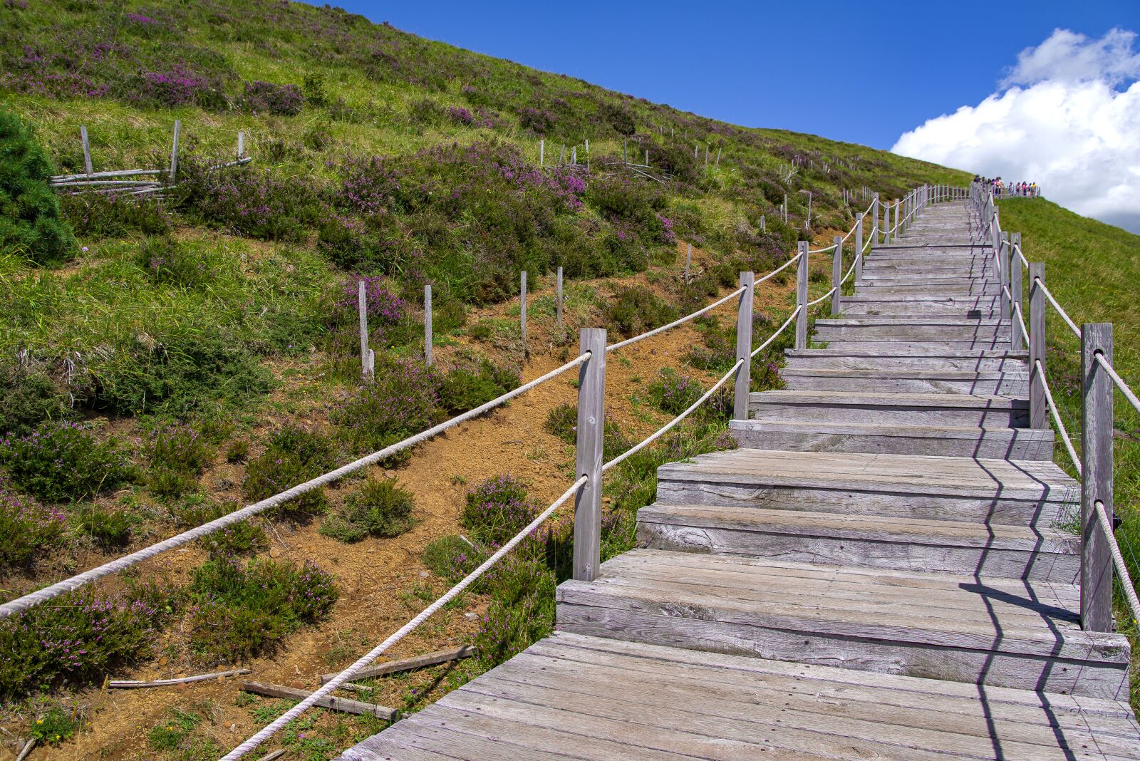 Pentax K-1 Mark II sample photo. Stairs, wood, path photography