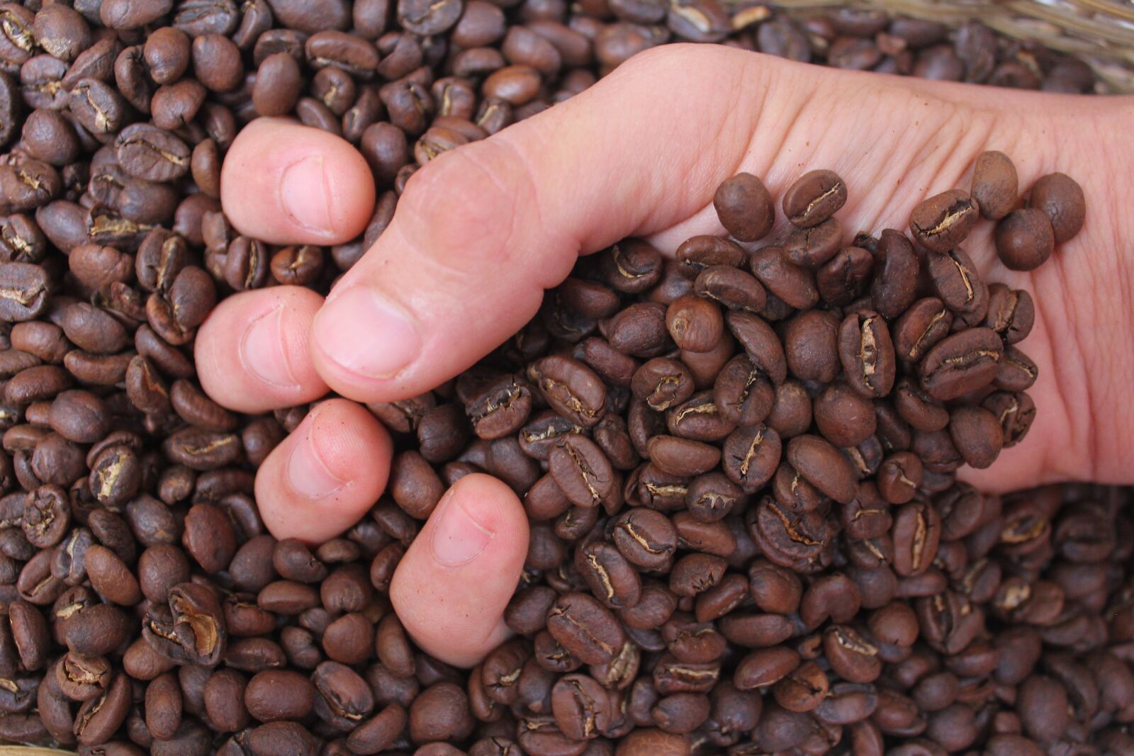 Canon EOS 60D sample photo. Coffee, drink, caffeine photography