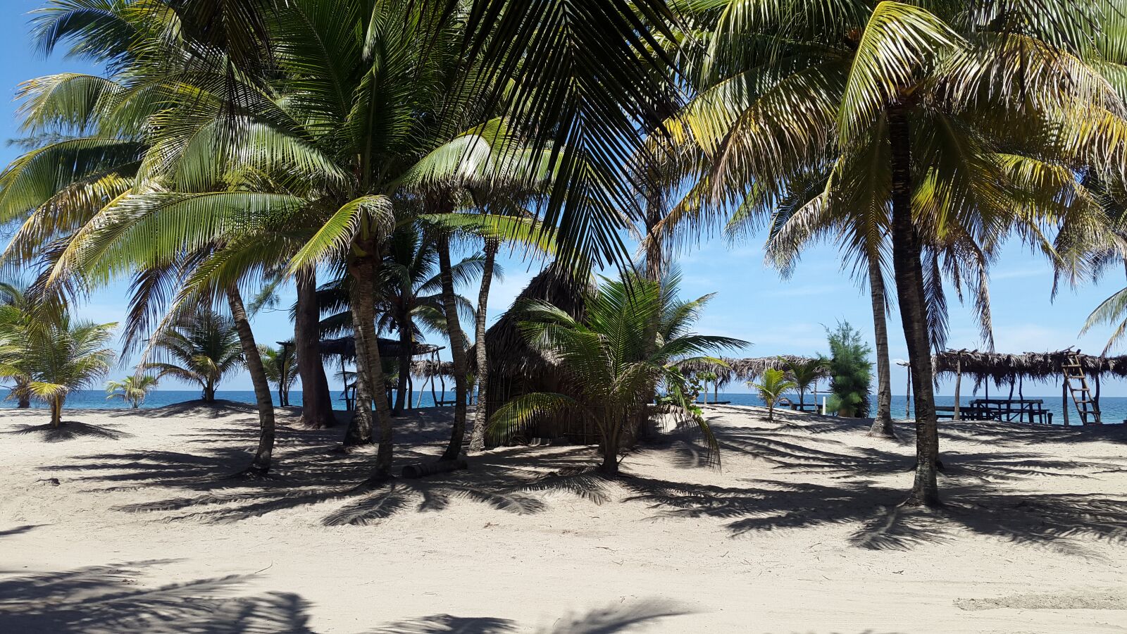 Samsung Galaxy S5 sample photo. Beach, break, honduras, palms photography