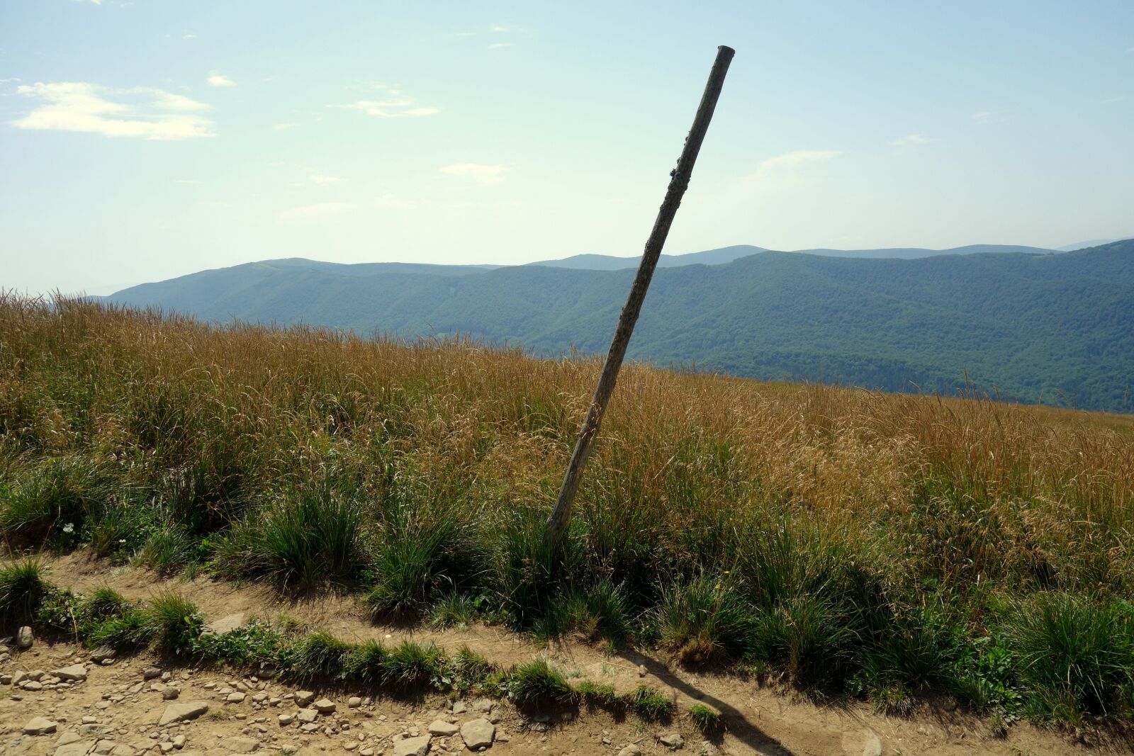 Sony Cyber-shot DSC-RX100 sample photo. Poland, bieszczady, trail photography