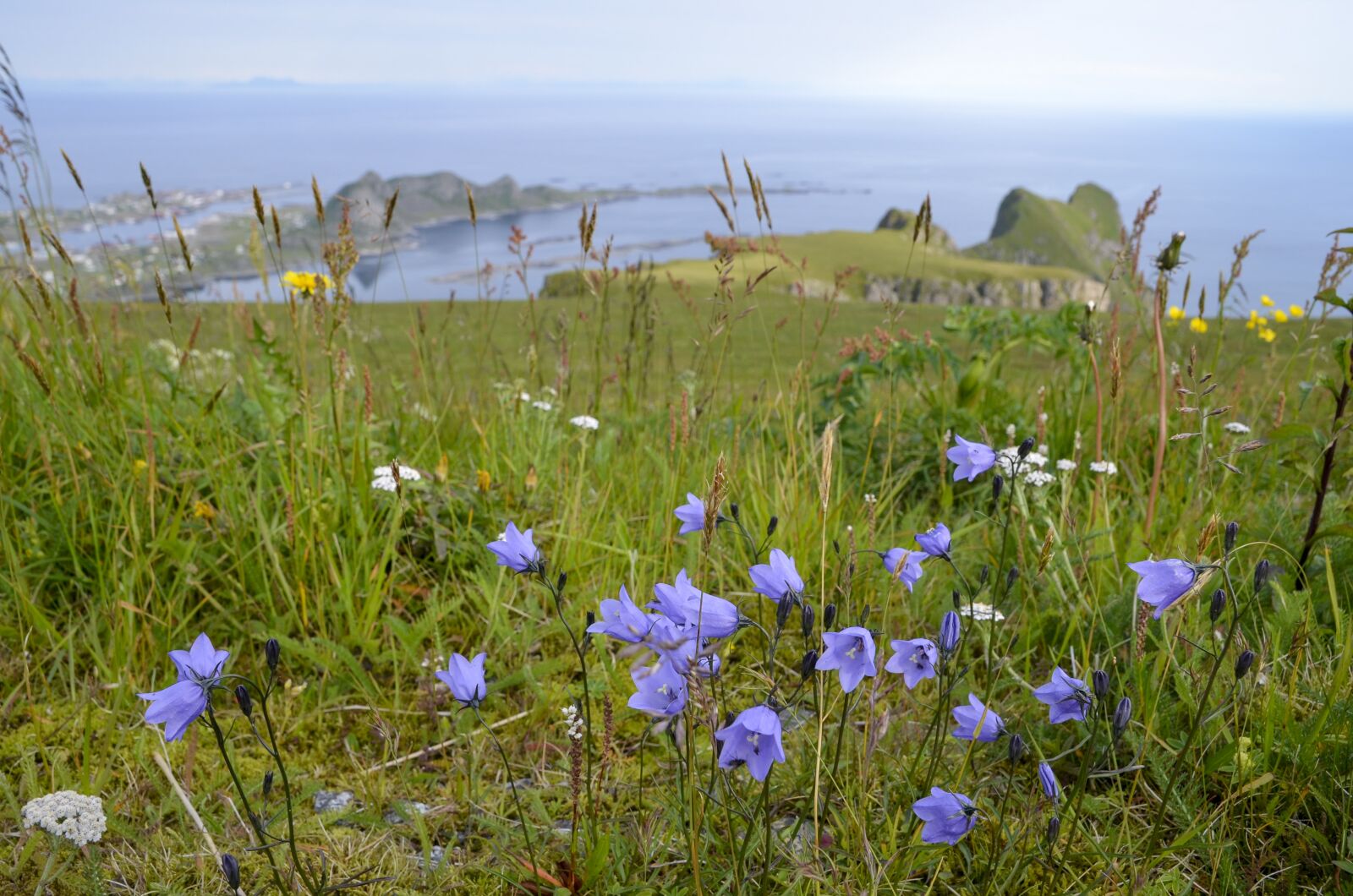Nikon D5100 sample photo. Lofoten, norway, nature photography