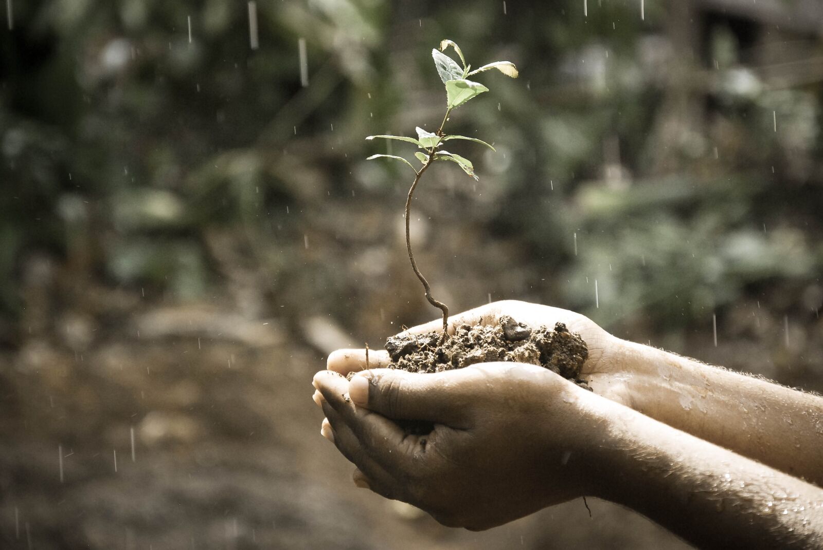 Nikon D40X sample photo. Hands, macro, nature photography