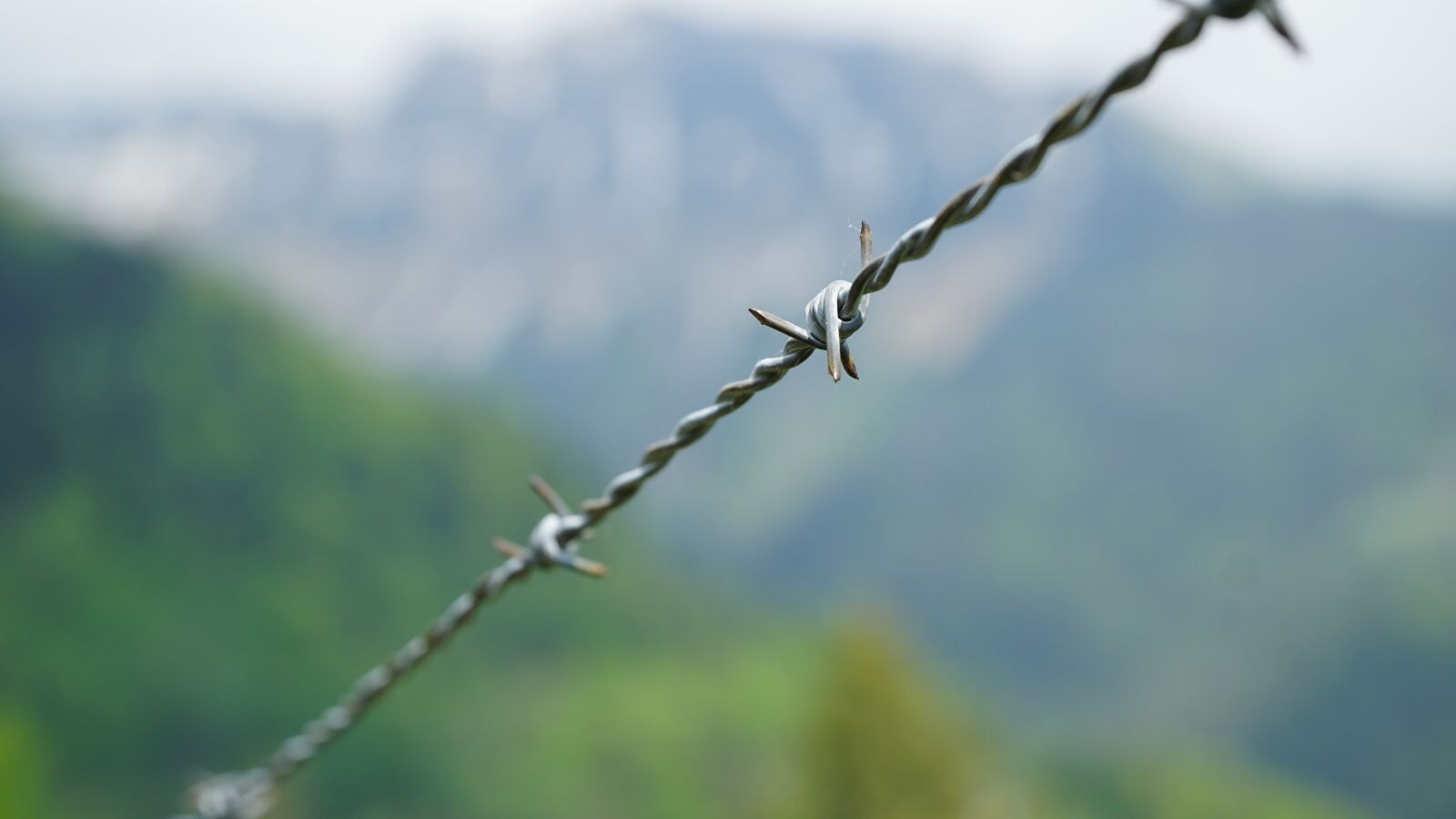 Sony a6000 sample photo. Wire, alm, switzerland photography