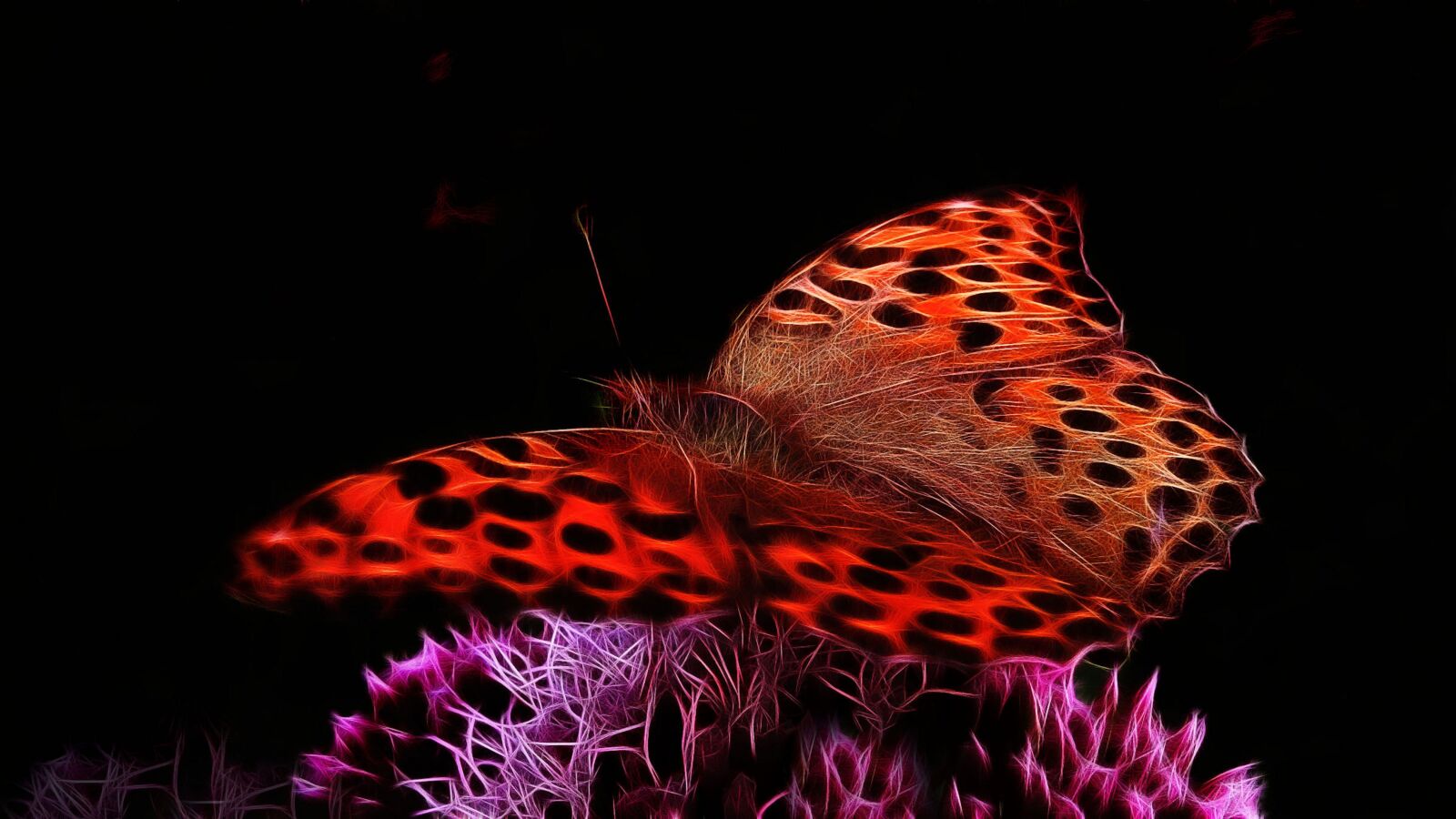 Canon PowerShot G15 sample photo. Fractalius, mother of pearl photography