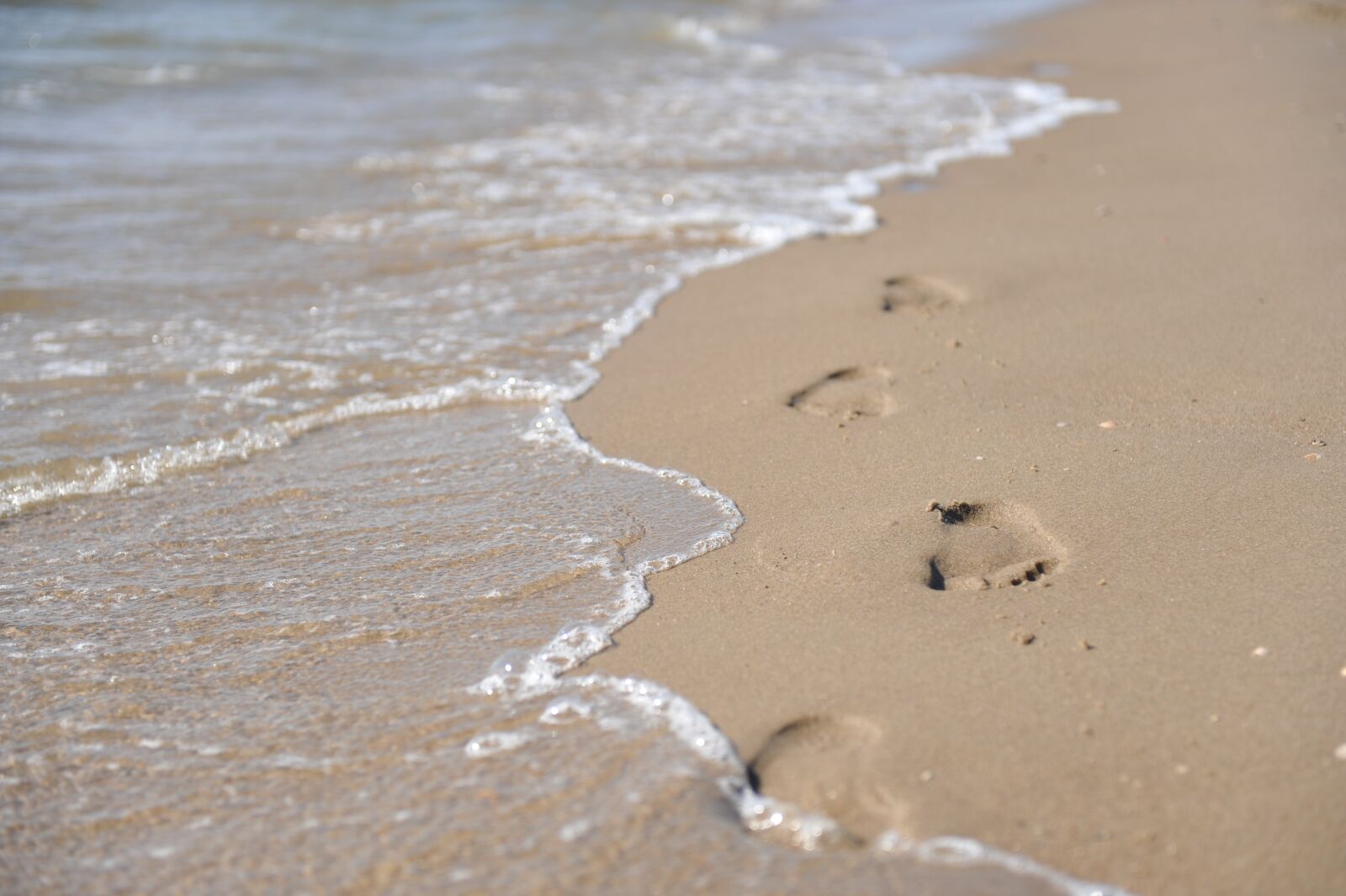 Nikon D700 sample photo. Beach, water, sand photography