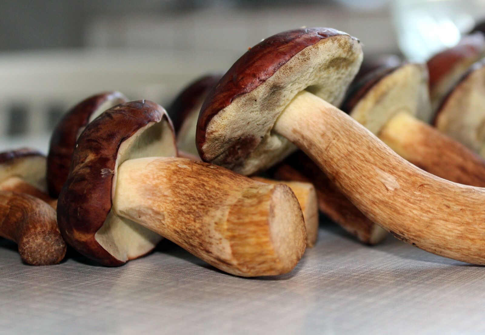 Canon EOS 1200D (EOS Rebel T5 / EOS Kiss X70 / EOS Hi) sample photo. Brown chestnut boletus, mushrooms photography