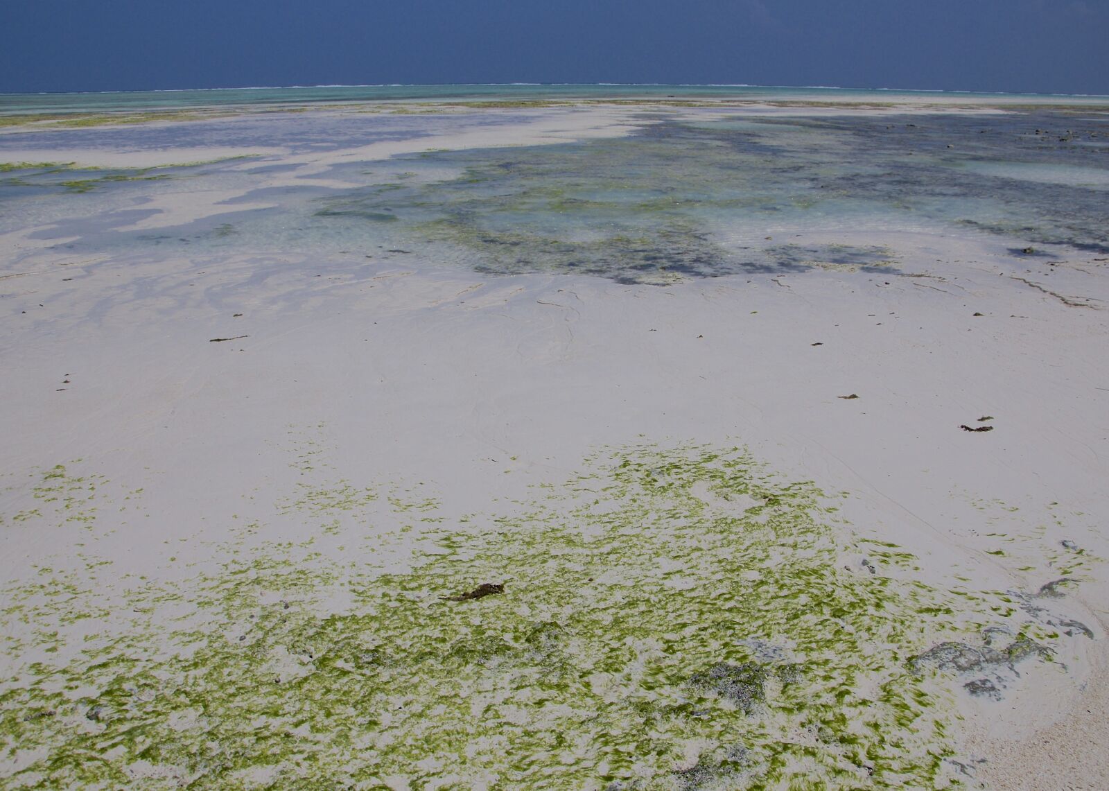 Nikon D300 sample photo. Zanzibar, indian ocean, tanzania photography