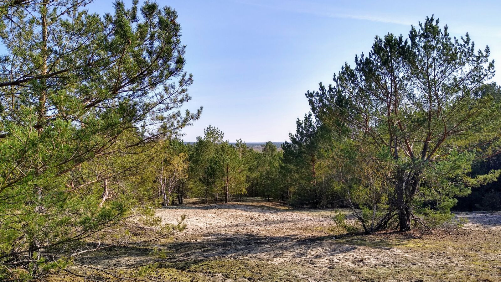 Motorola moto g(7) power sample photo. Loewenberg, brandenburg, trebbin photography