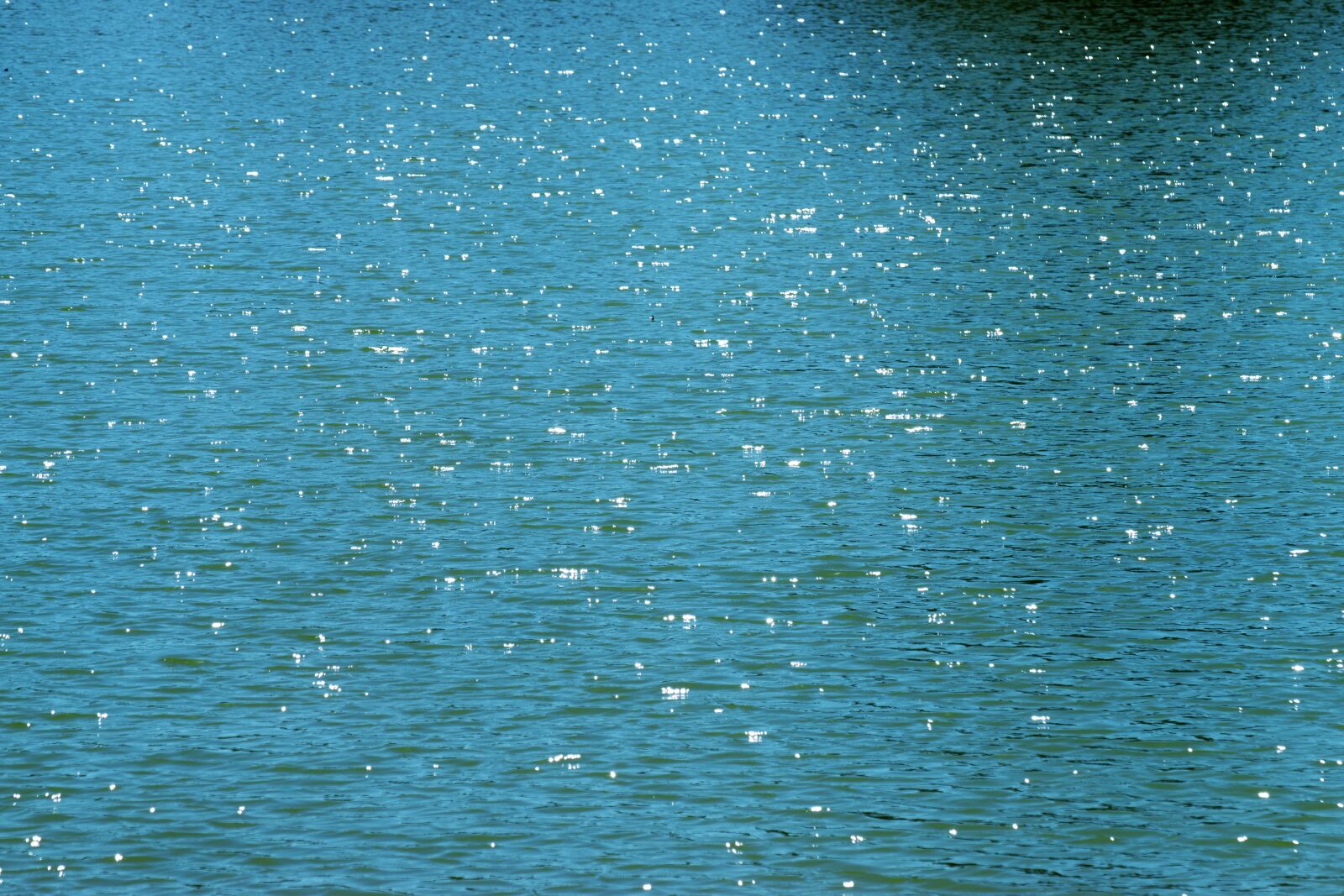 Nikon D5300 sample photo. Landscape, water, glitter photography