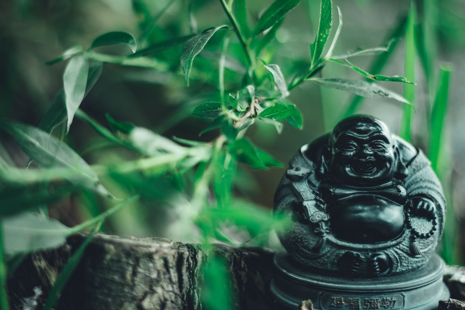 Canon EOS 600D (Rebel EOS T3i / EOS Kiss X5) + Canon EF 50mm F1.8 STM sample photo. Buddha, religion, laughing buddha photography