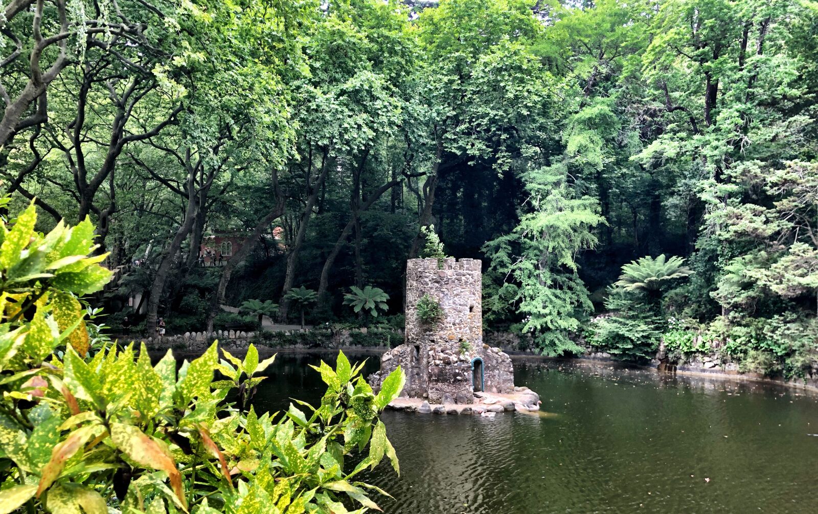 iPhone X back dual camera 4mm f/1.8 sample photo. Sintra, portugal, nature photography