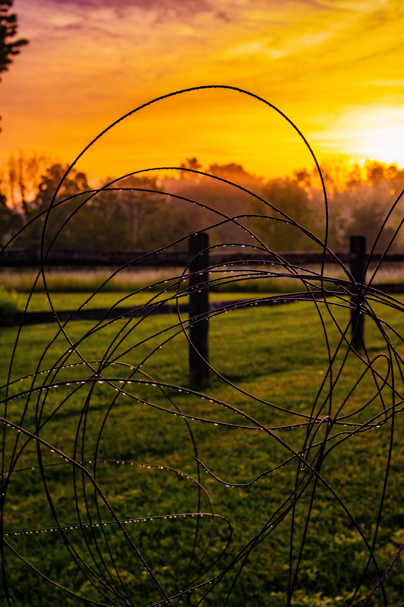 Nikon D3400 sample photo. Farm, wires, sunset photography