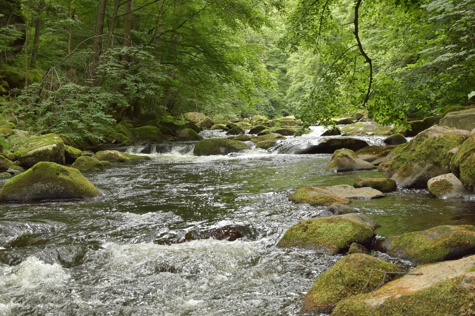 Nikon D5300 sample photo. Bode, river, water photography