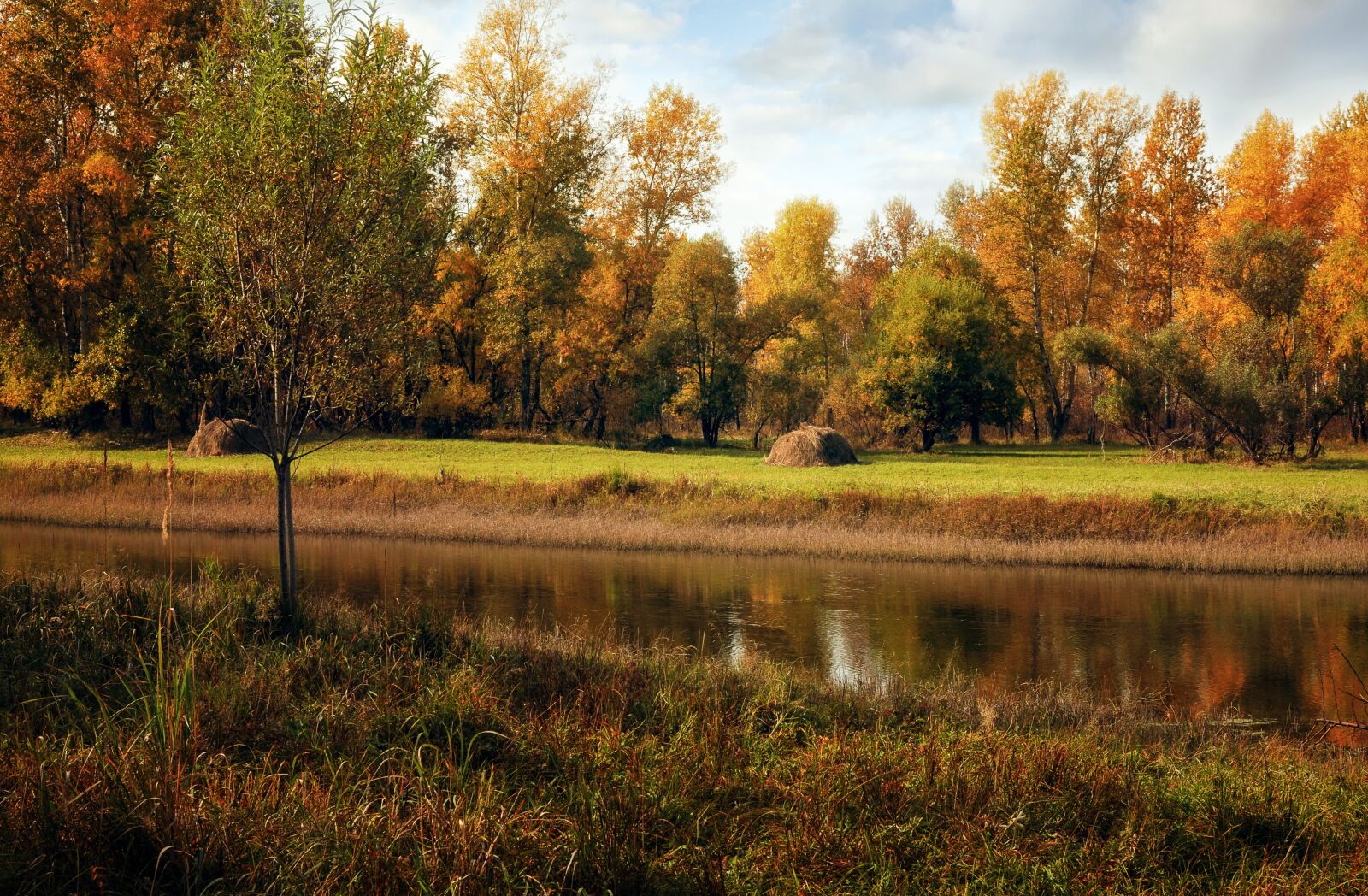 Nikon D5000 sample photo. Autumn, landscape, river photography