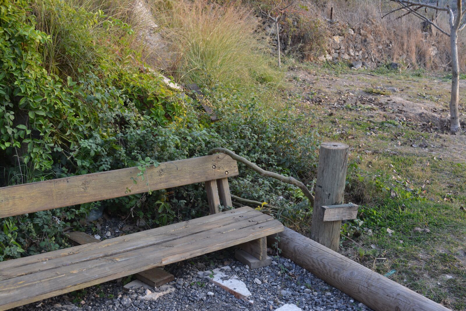 Nikon D5200 sample photo. Bench, nature, hike photography