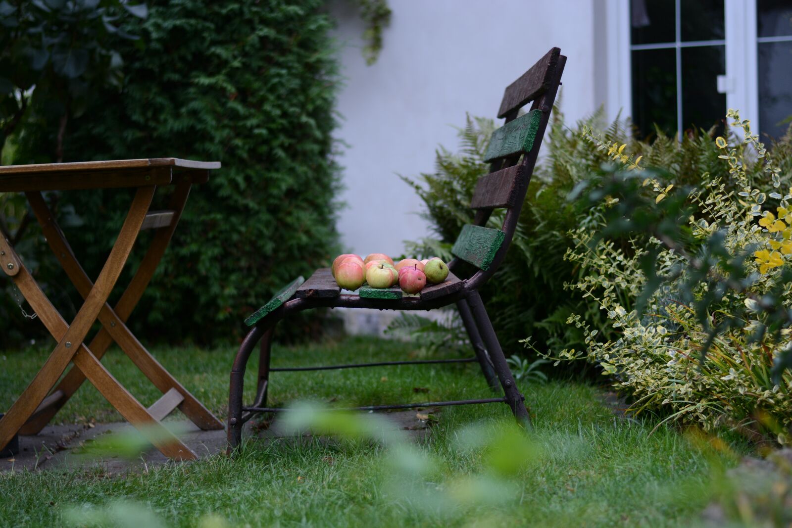 Nikon D7100 sample photo. Bench, autumn, apple photography