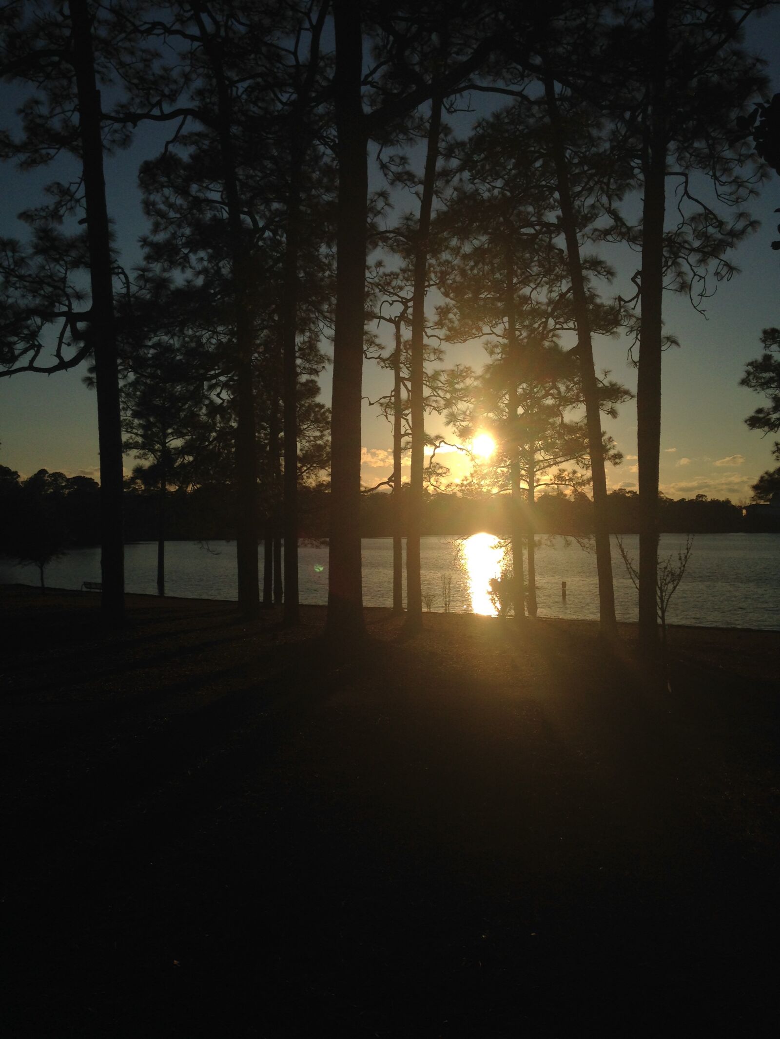 iPhone 5c back camera 4.12mm f/2.4 sample photo. Lake, sunset, florida photography