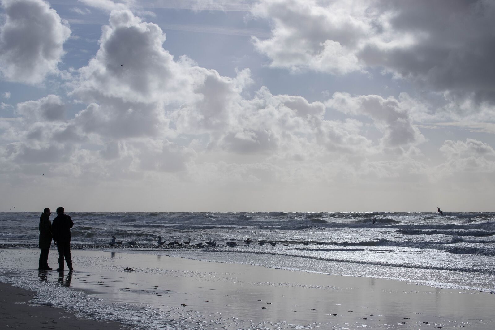 Canon EOS 6D Mark II sample photo. Beach, against light, people photography