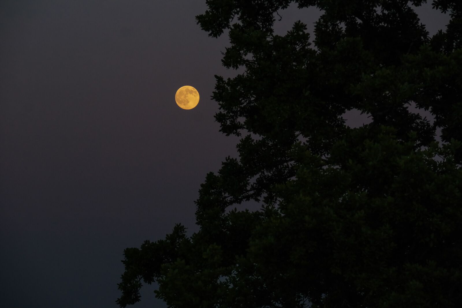 Samsung NX300 sample photo. Full moon, night, moonlight photography