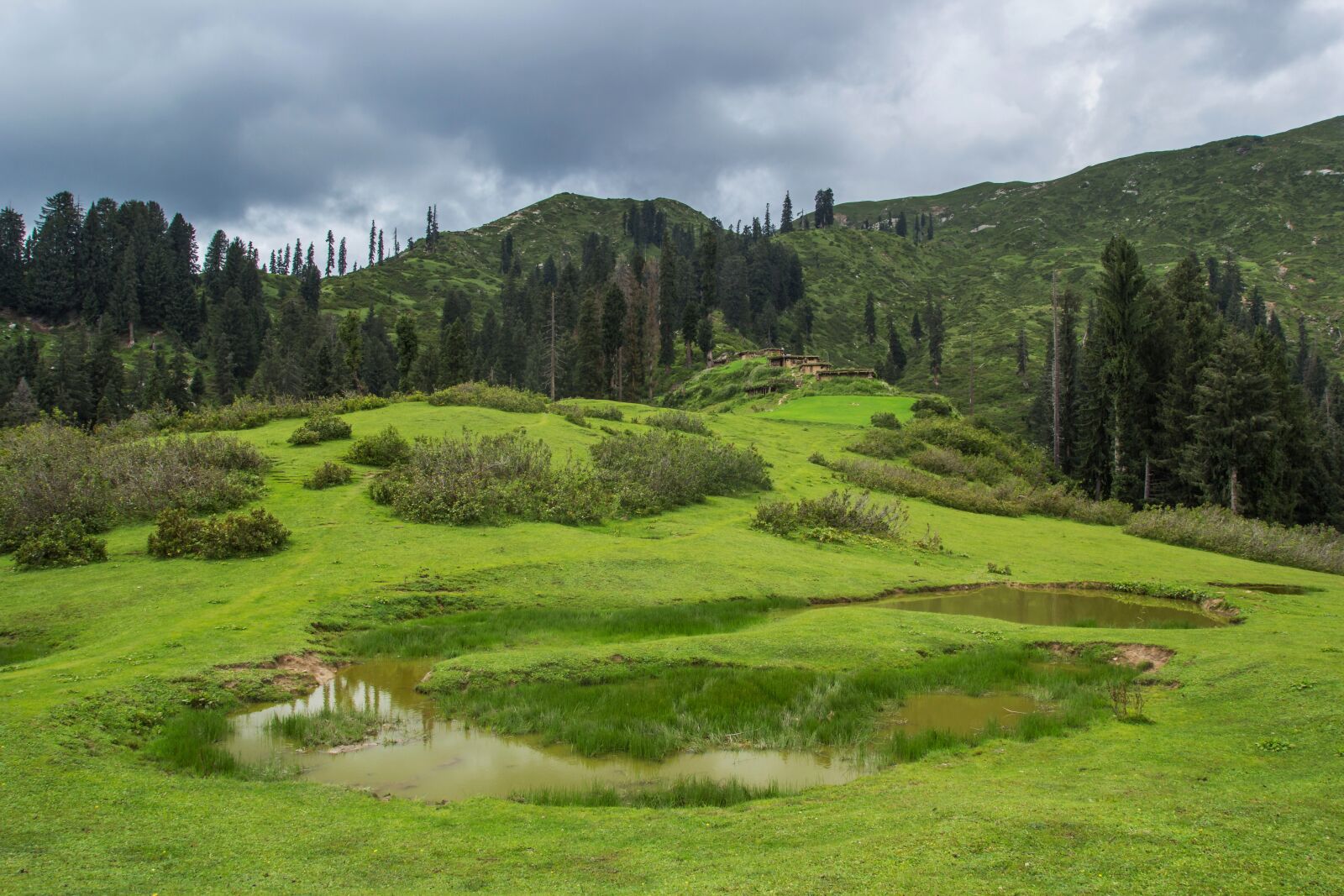 Tamron SP AF 17-50mm F2.8 XR Di II LD Aspherical (IF) sample photo. Meadows, green, pakistan photography
