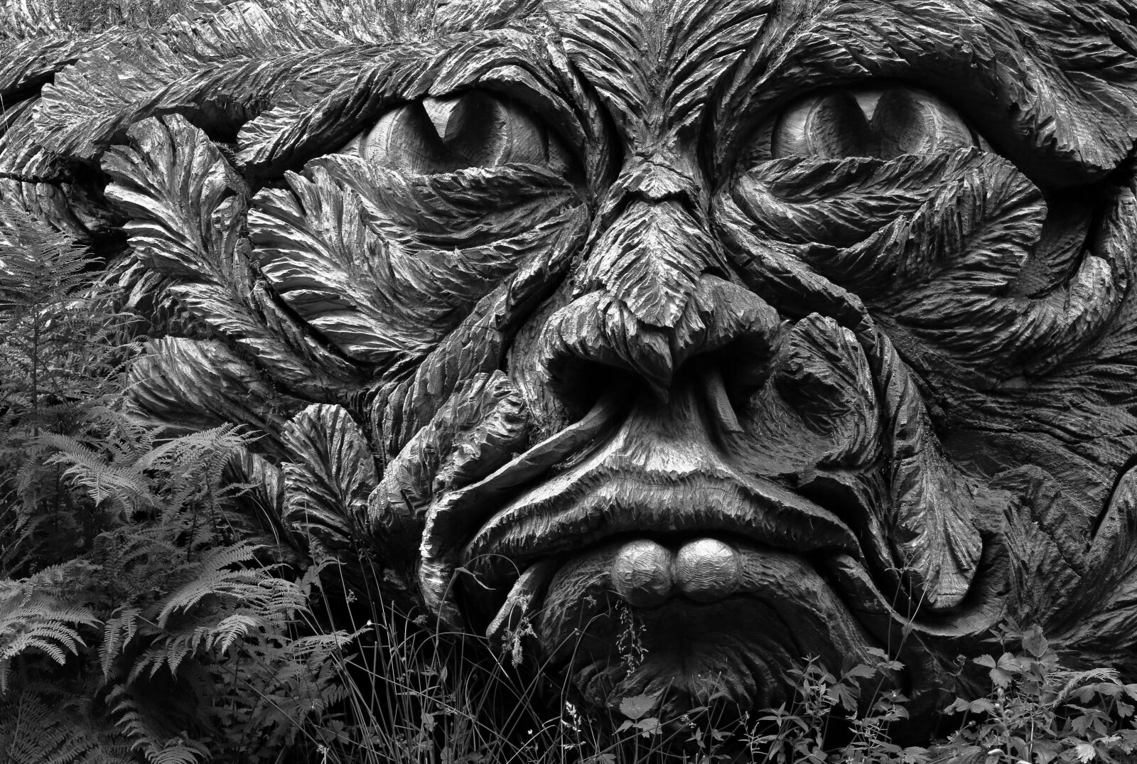 Canon EOS 80D sample photo. Carving, wooden, sculpture photography
