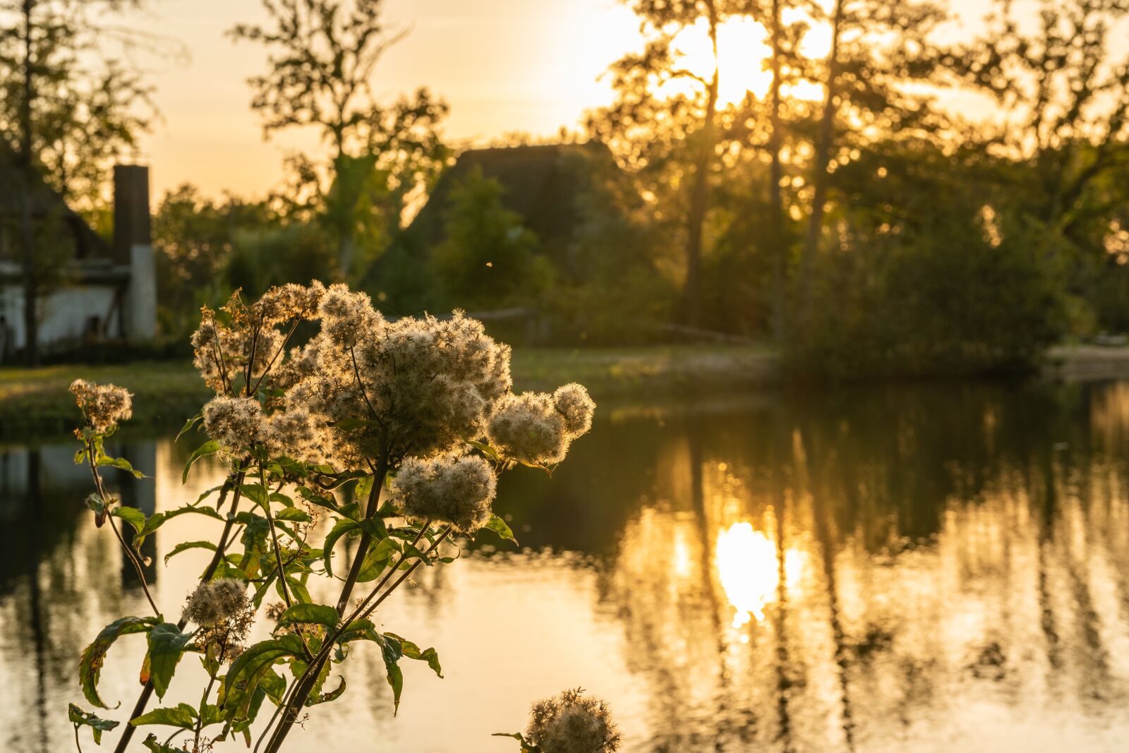 Nikon D7500 sample photo. L neburg heath, lower photography