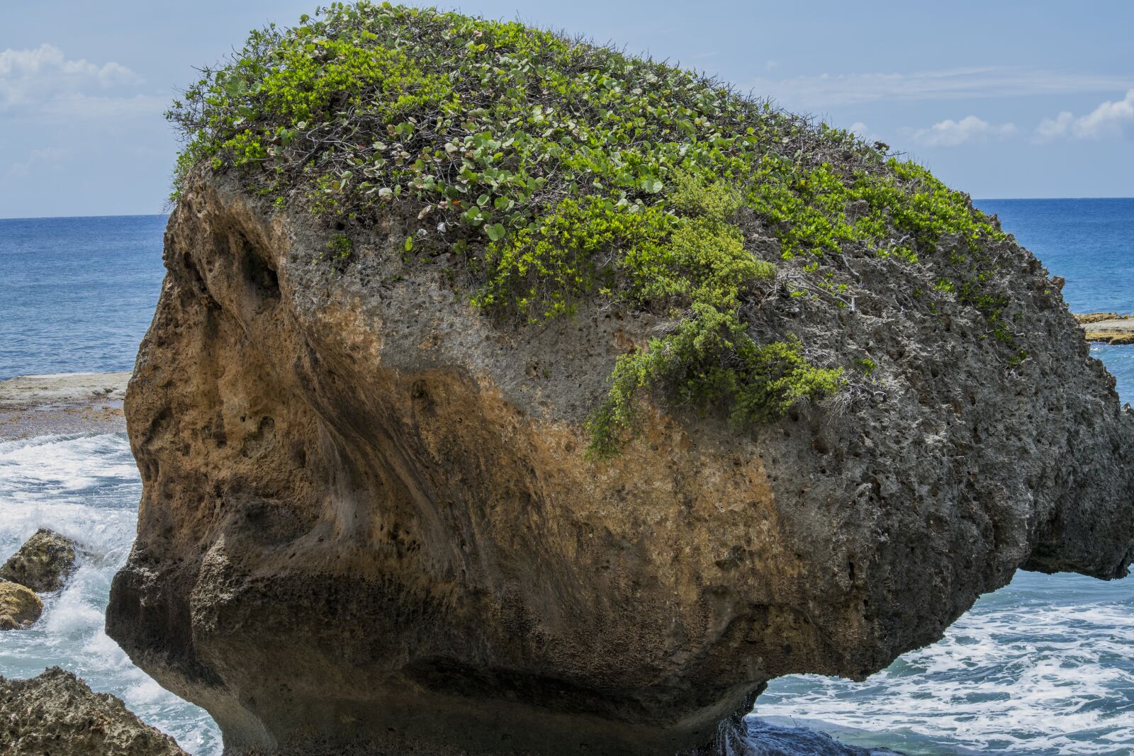 Nikon D3300 sample photo. Skull, sky, sea photography