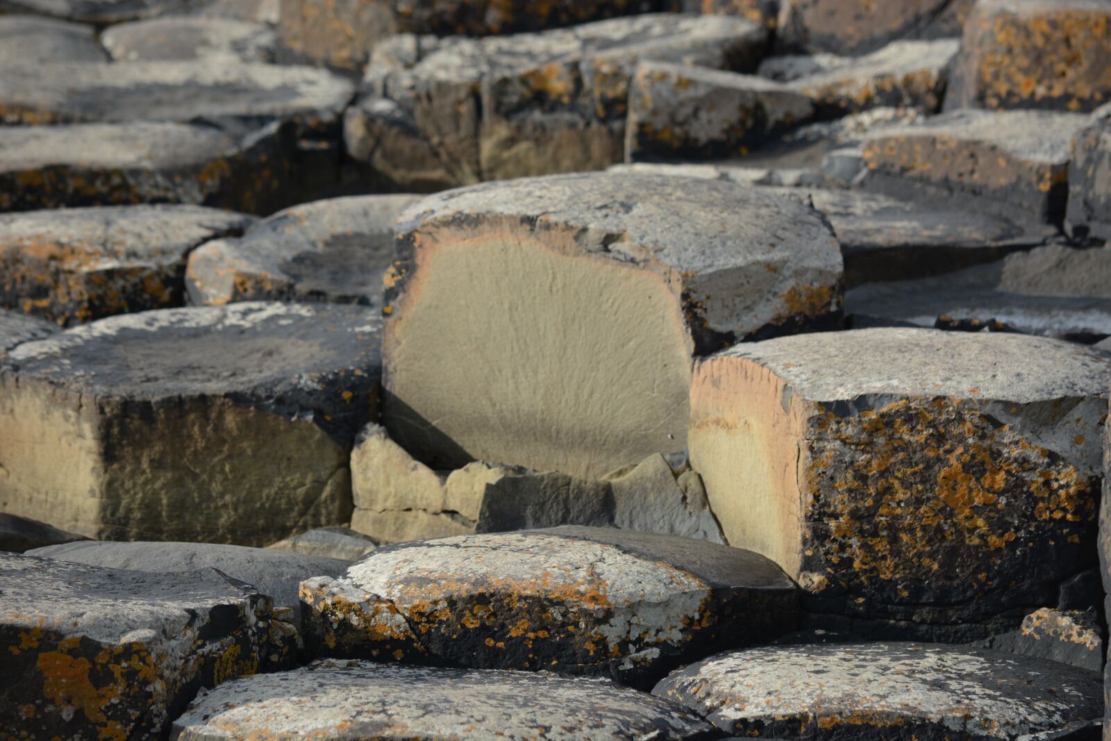 Nikon D7100 sample photo. Nature, ireland, giant causeway photography
