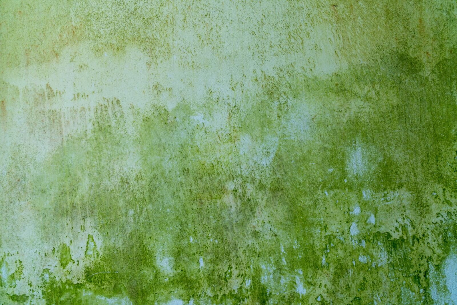 Sony a6500 + Sony Vario-Tessar T* E 16-70mm F4 ZA OSS sample photo. Texture, background texture, structure photography
