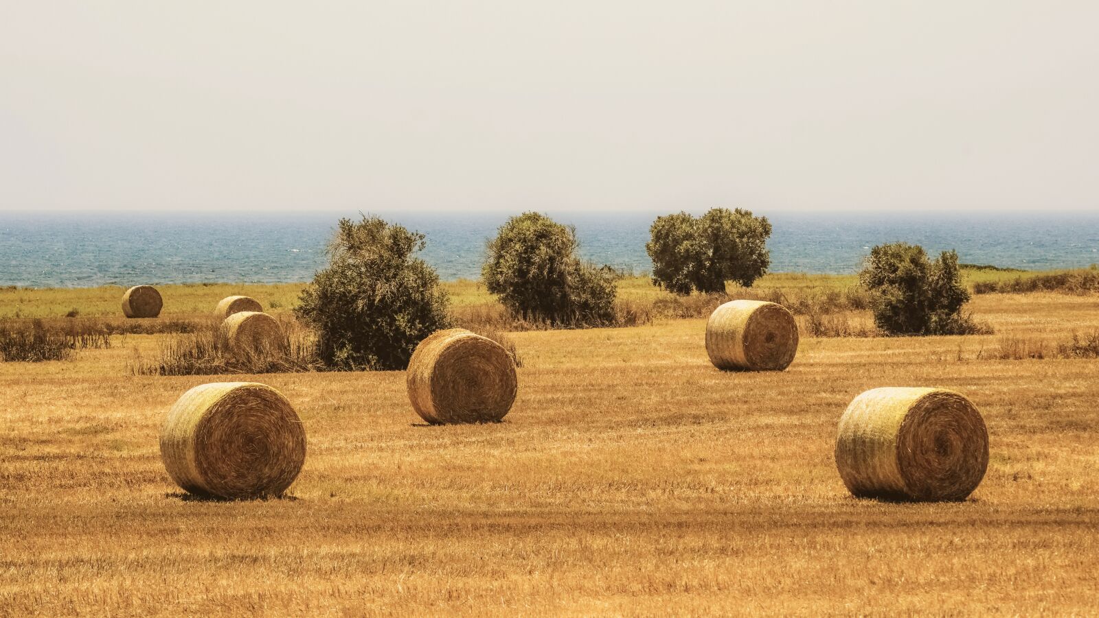 Nikon D3300 sample photo. Hay, straw, bale photography