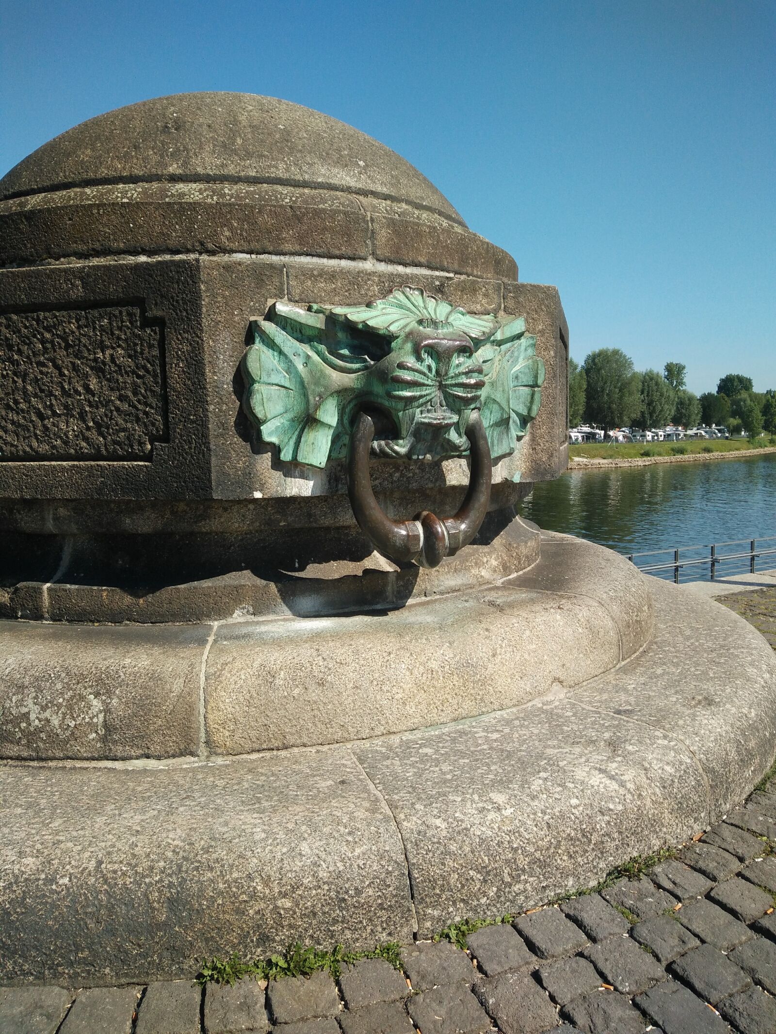 OnePlus ONE E1003 sample photo. Lion, water, borg photography