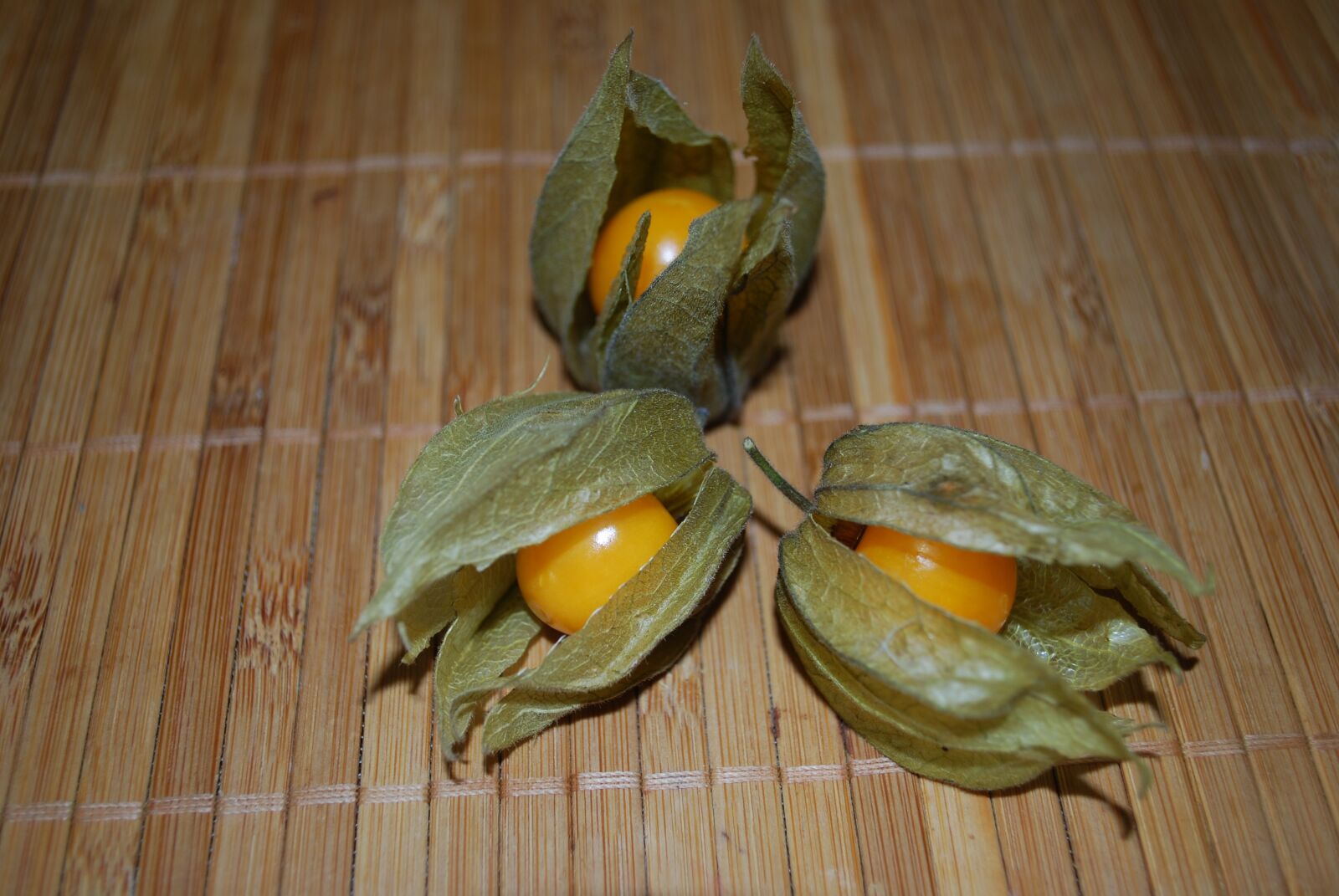 Nikon D60 sample photo. Three, opened, physalis photography
