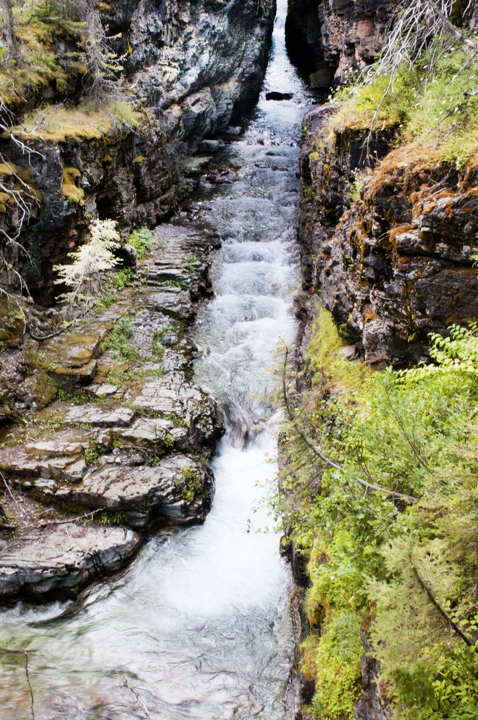 Nikon D300 sample photo. Mountain, water, stream, nature photography