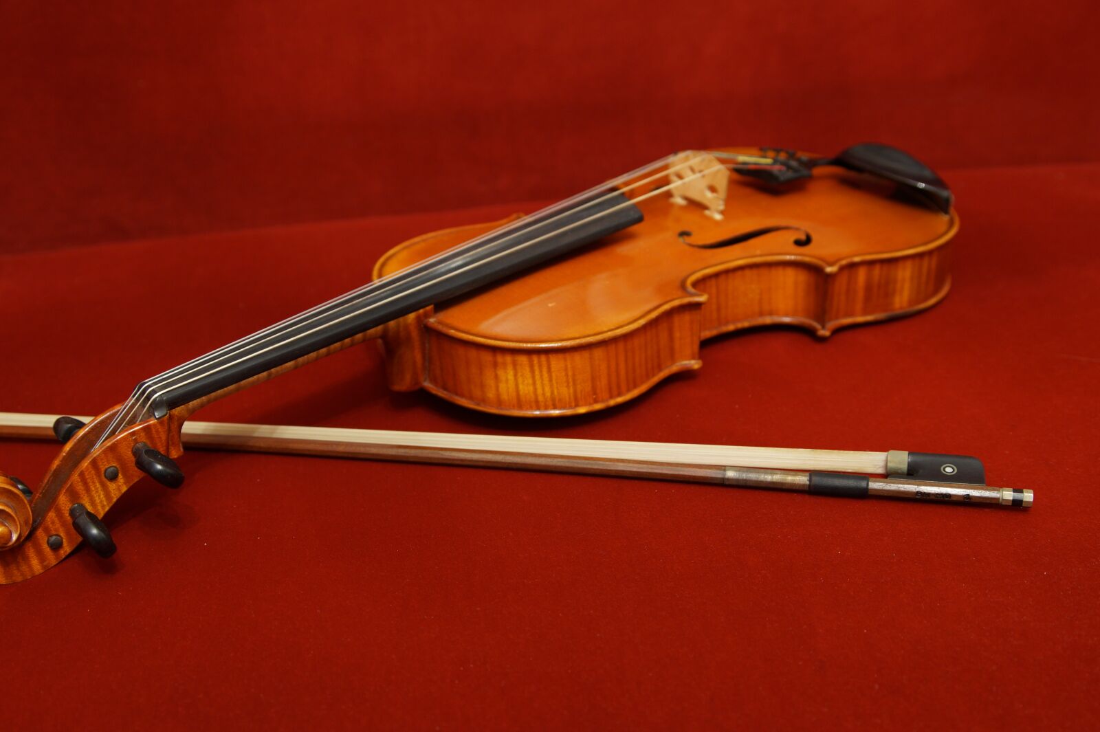 Sony SLT-A58 sample photo. Viola, musical instrument, stringed photography