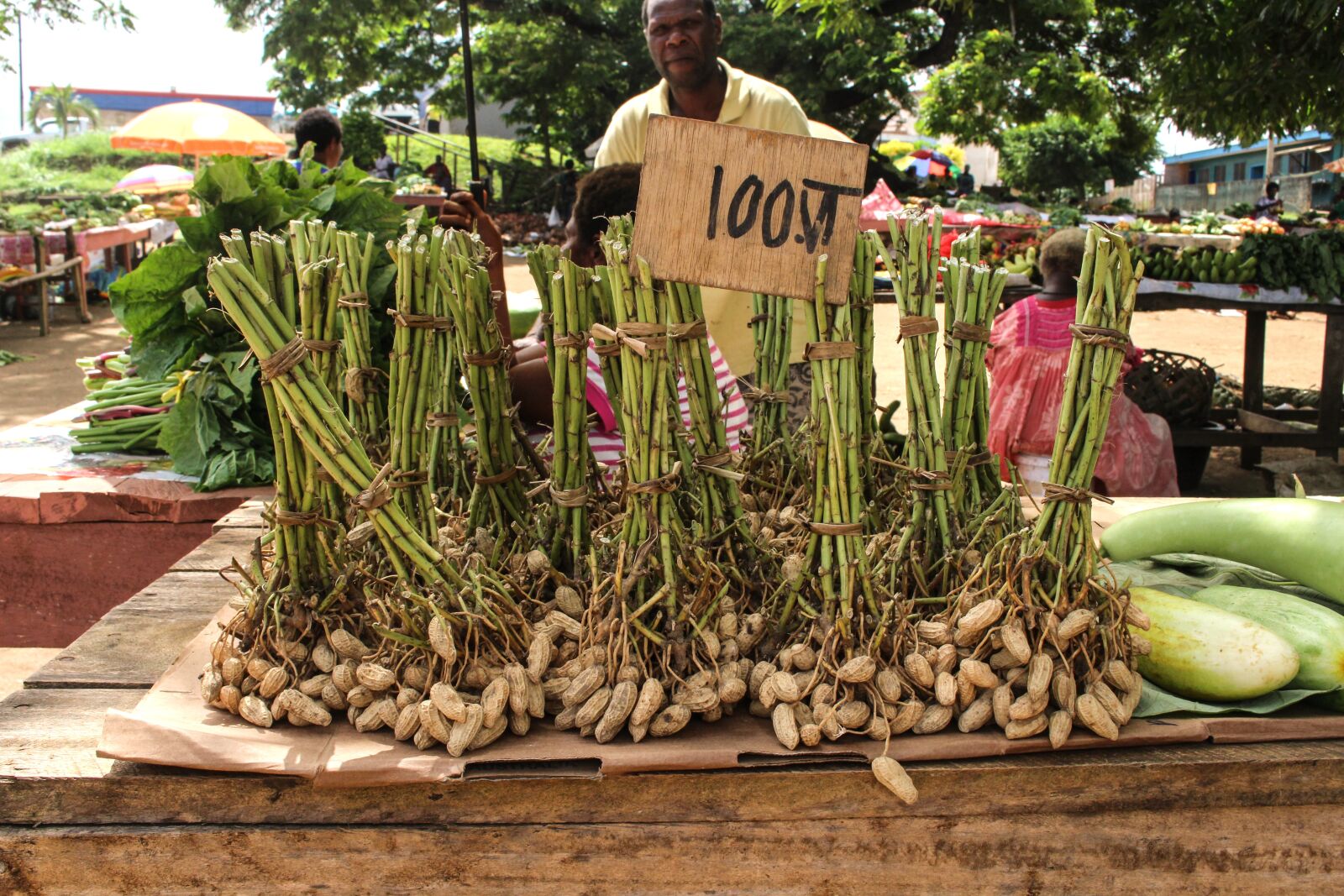 Canon EOS 100D (EOS Rebel SL1 / EOS Kiss X7) sample photo. Market, south sea, vanuatu photography