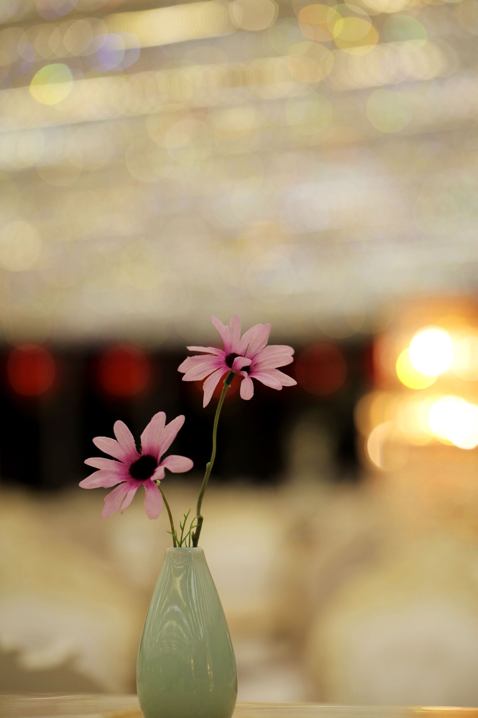 Canon EOS 5D Mark II sample photo. Wild flowers, vase, still photography