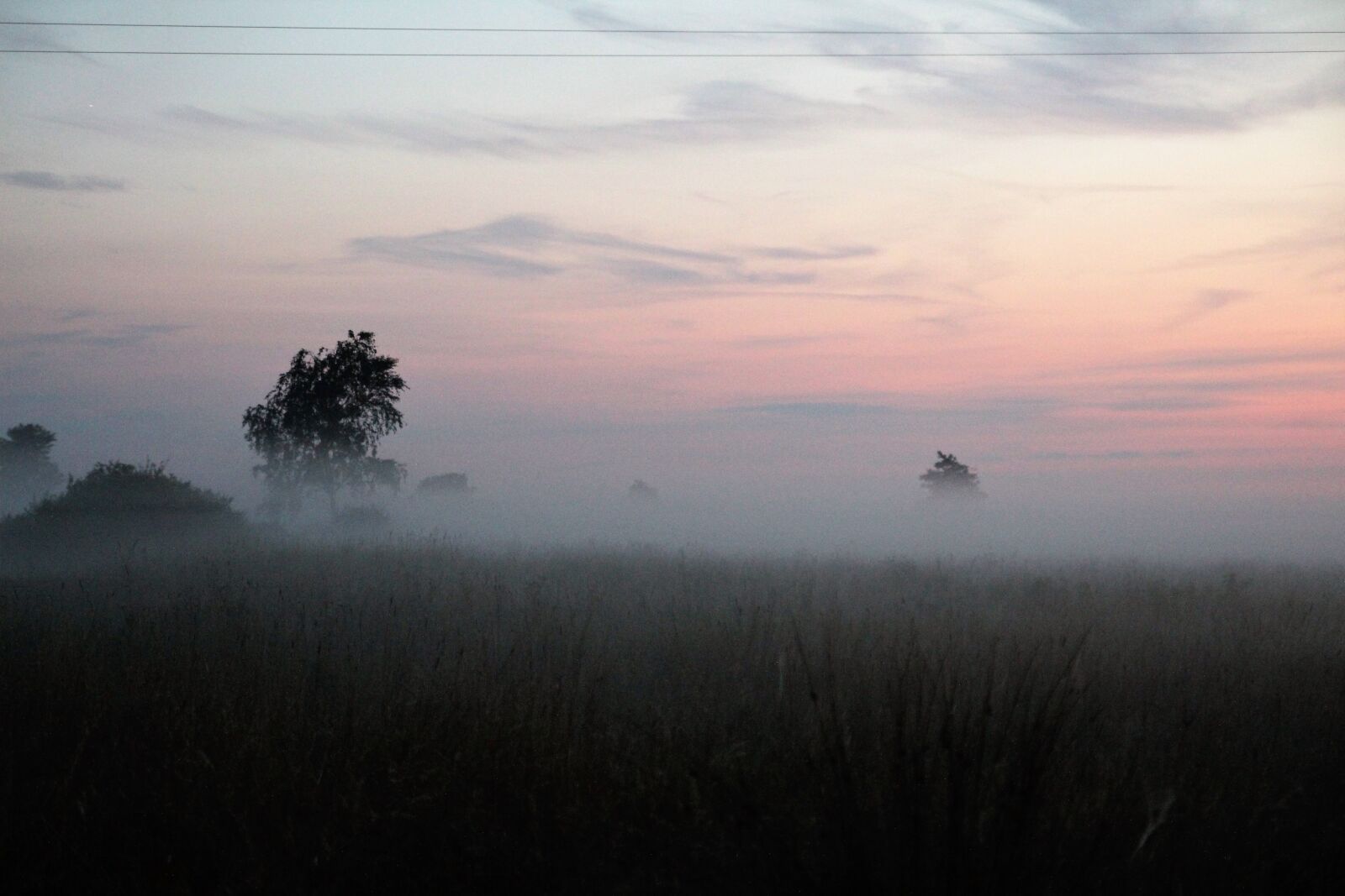 Canon EOS 600D (Rebel EOS T3i / EOS Kiss X5) sample photo. The fog, meadow, nature photography