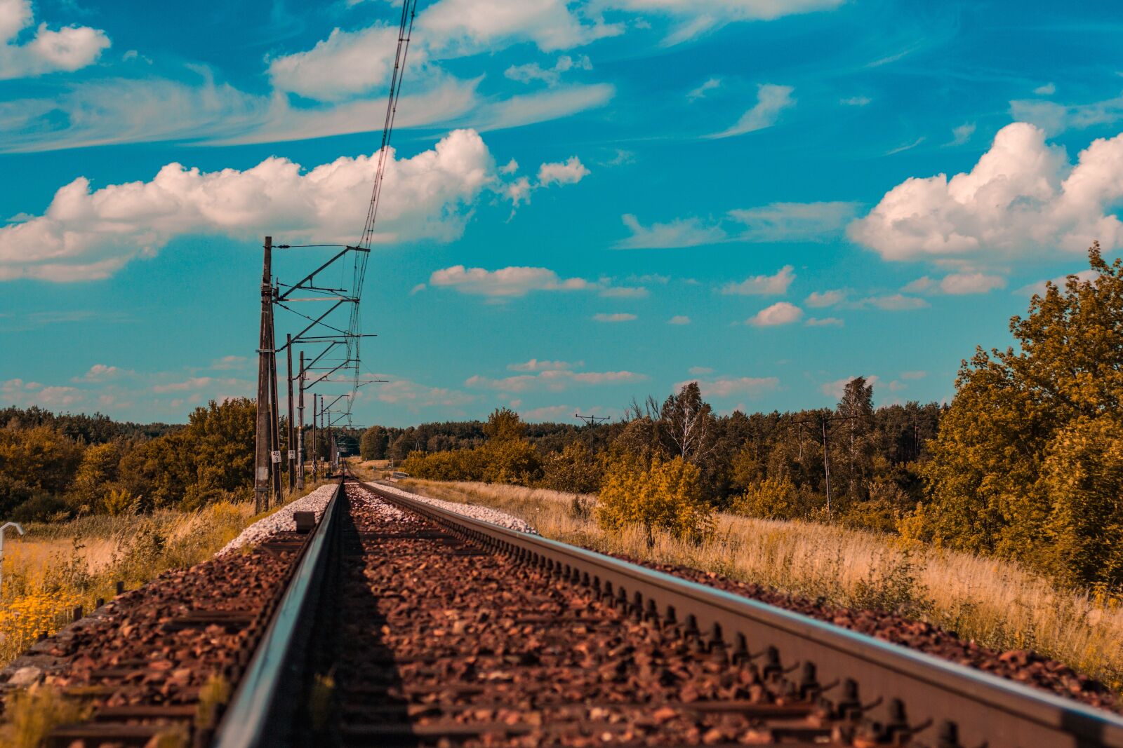 Canon EOS 700D (EOS Rebel T5i / EOS Kiss X7i) + Canon EF 50mm F1.8 STM sample photo. Tracks, train, lines photography