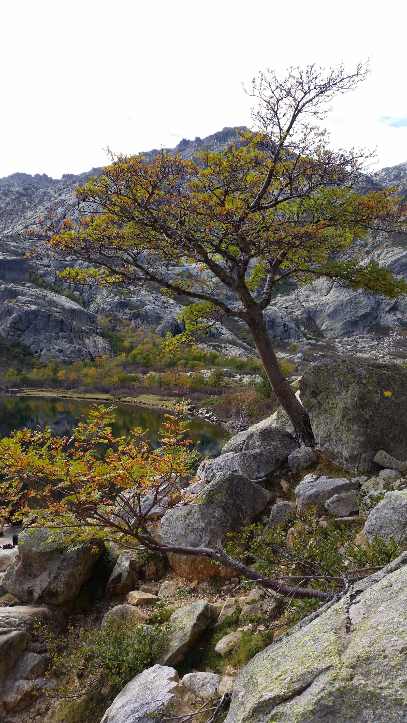 Samsung Galaxy S5 sample photo. Corsican, lake, mountains photography