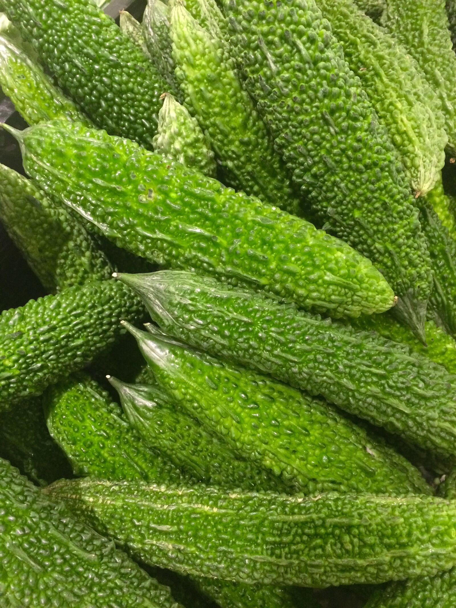 iPhone 5s back camera 4.15mm f/2.2 sample photo. Bitter gourd, goya, green photography