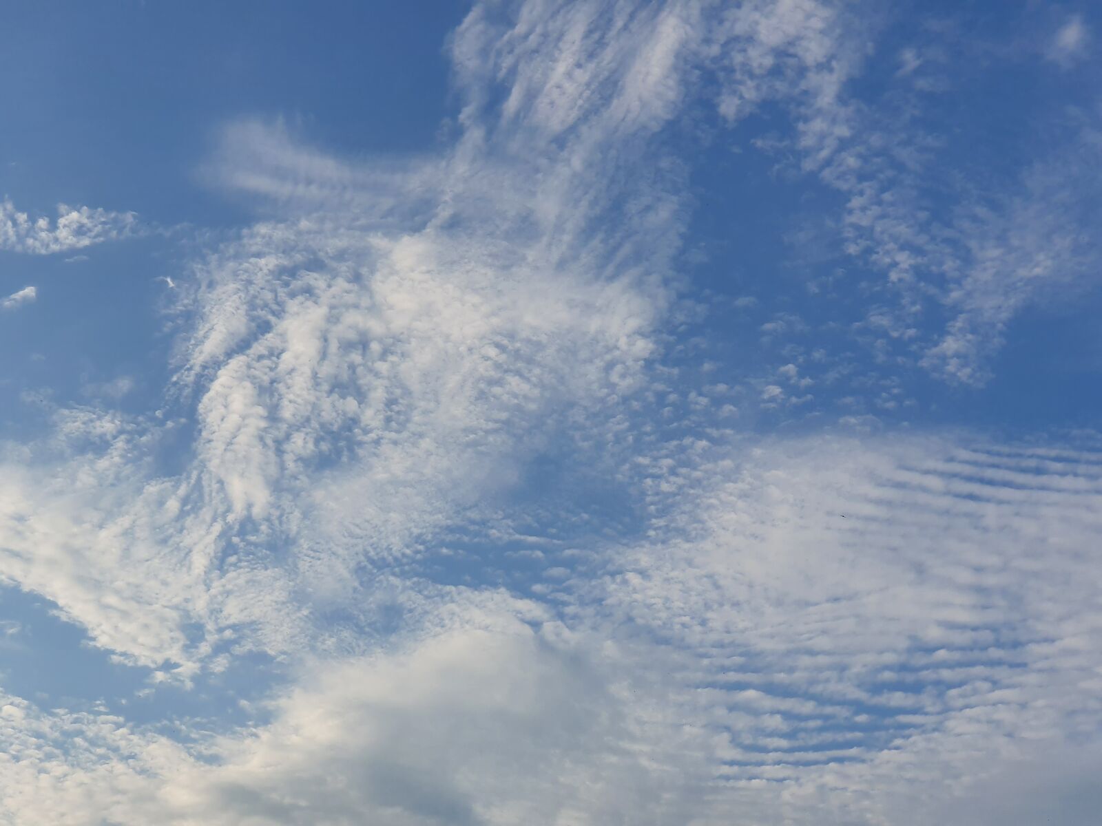 Samsung Galaxy S10 sample photo. Sky, figure, handsomely photography