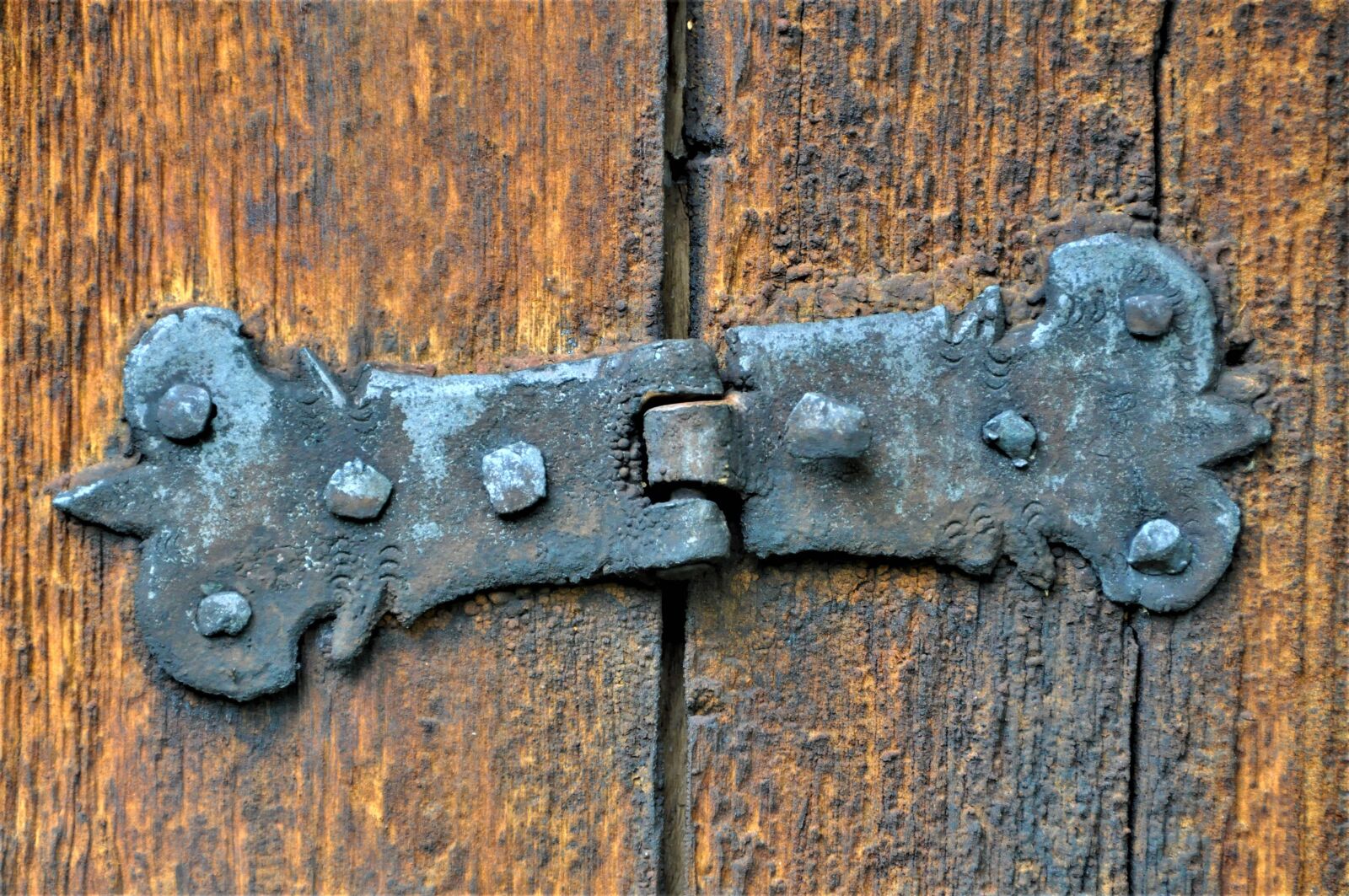 Nikon D5000 sample photo. Hinge, old, door photography