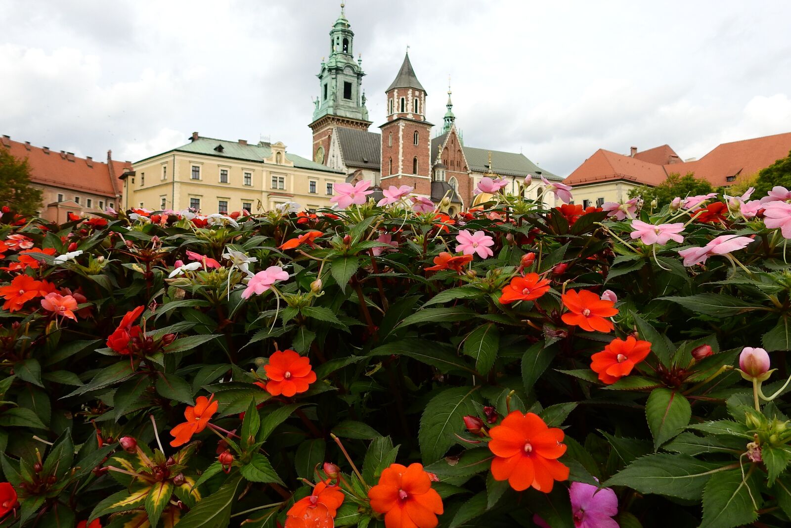 Nikon Coolpix P900 sample photo. Kraków, wawel, monument photography